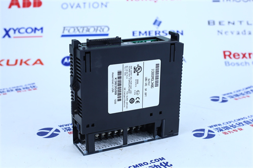 TRICONEX	8300 Power module1