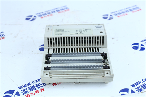 GE	IS220PAICH1A/B Analog input/output module